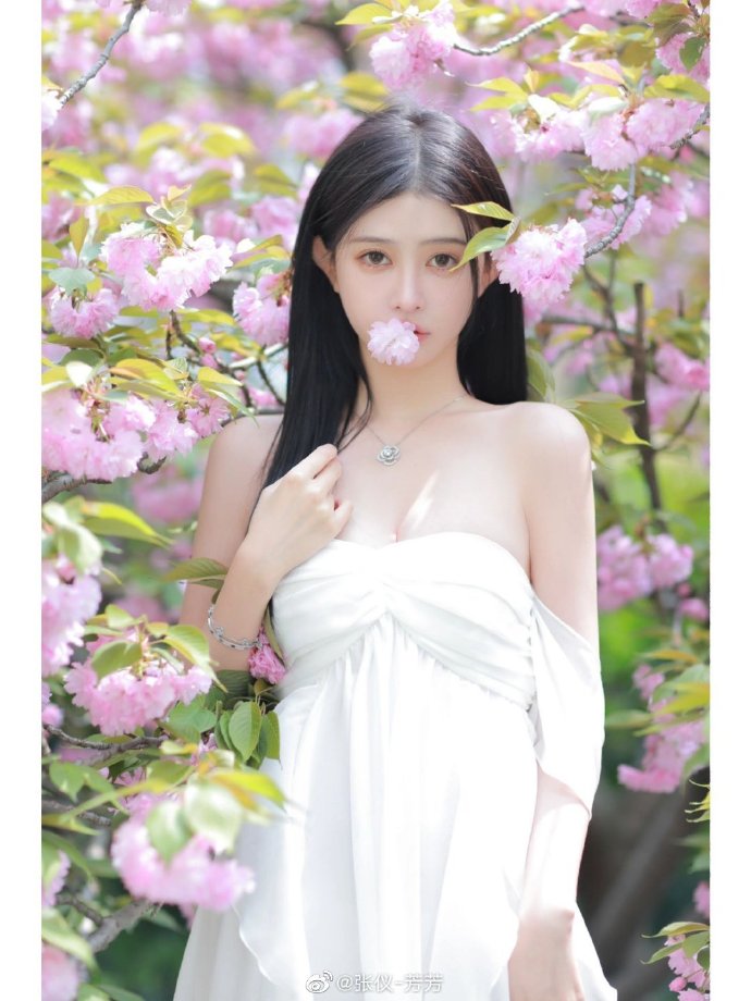 教父 封面